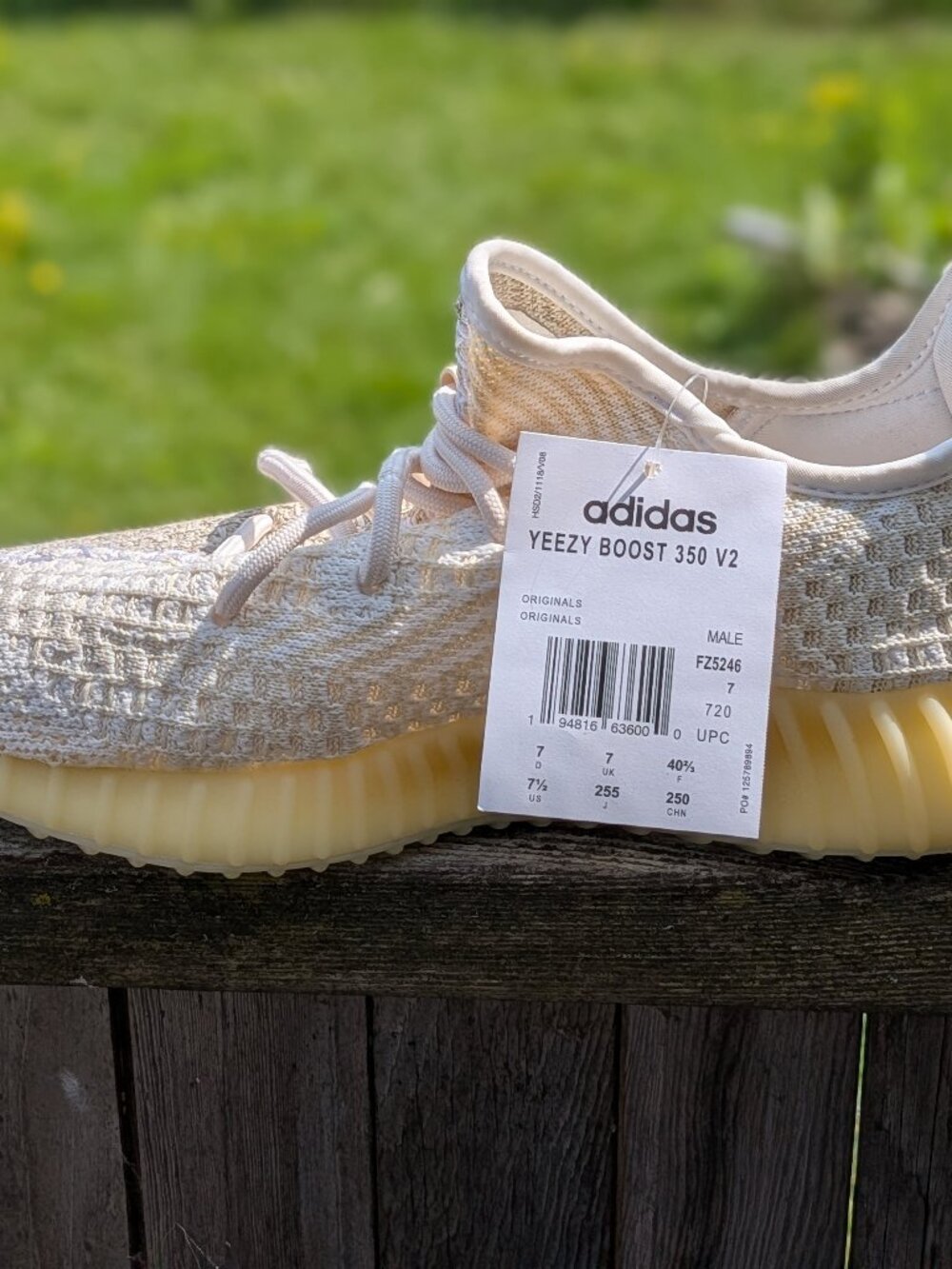 Yeezy boost 350 V2